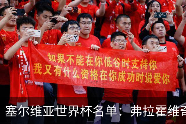 塞尔维亚世界杯名单：弗拉霍维奇领衔 古德利在列